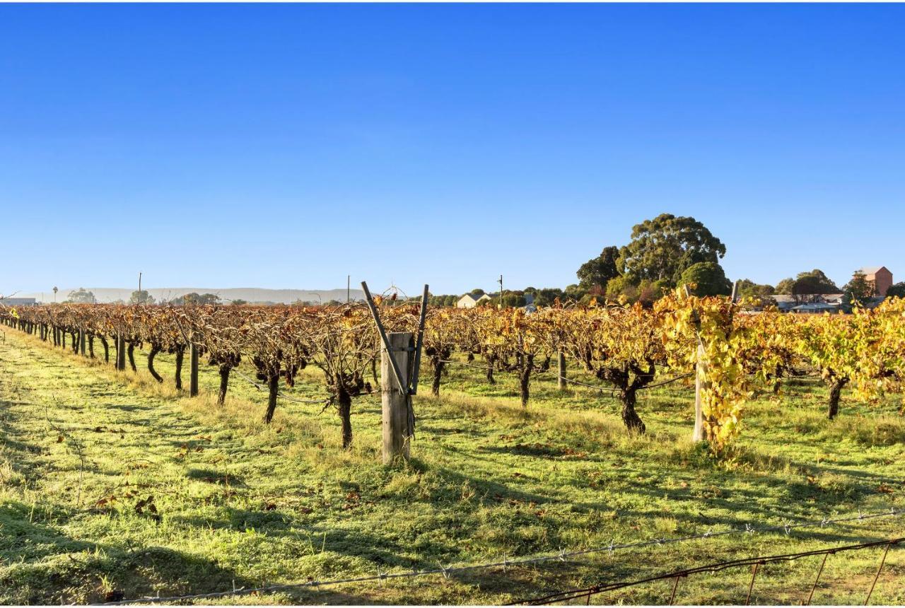 Discovery Parks - Swan Valley Caversham Екстер'єр фото